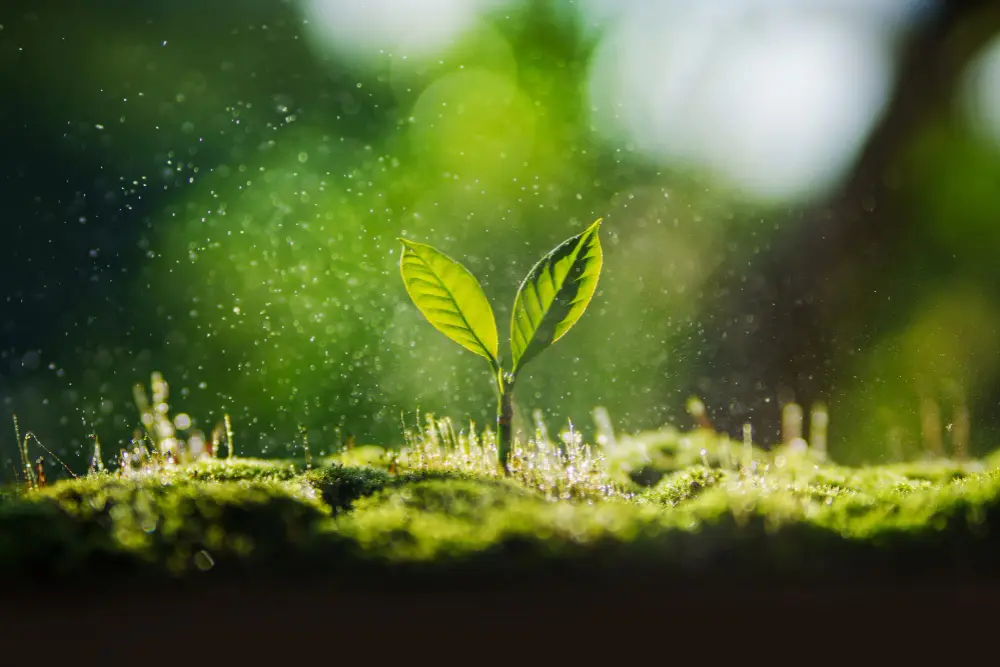 Environment & Climate Change